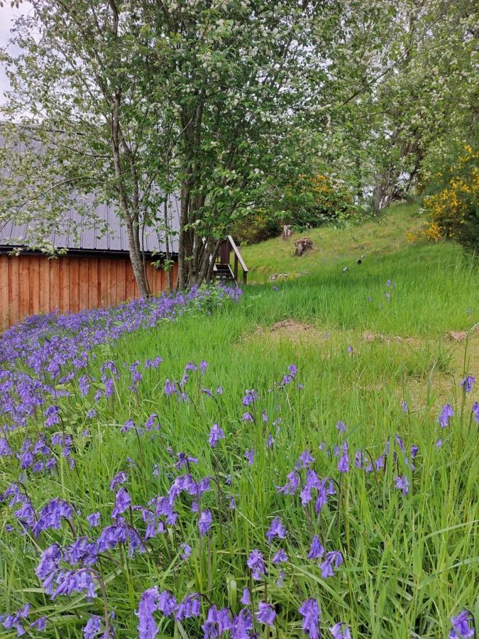 Upper Leanassie Villa Beauly Bagian luar foto